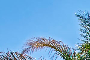 Rent Cheap Apartments In Los Angeles County From 650